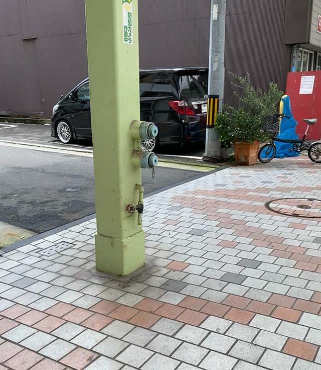 マデラ