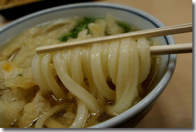 ごぼ天うどん＠さぬき麺業