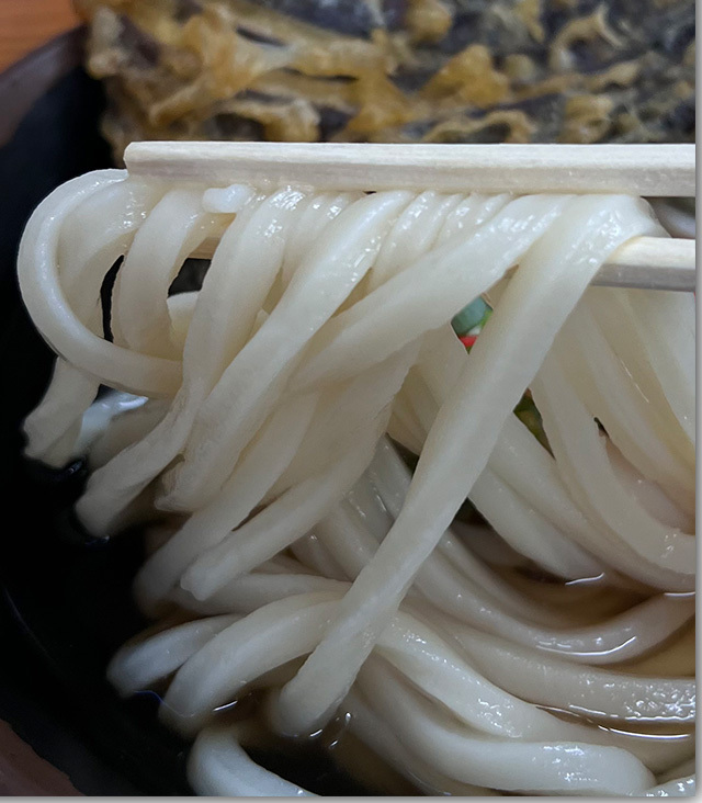 うどん市場 めんくい