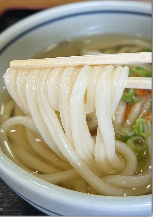 新生 森製麺所