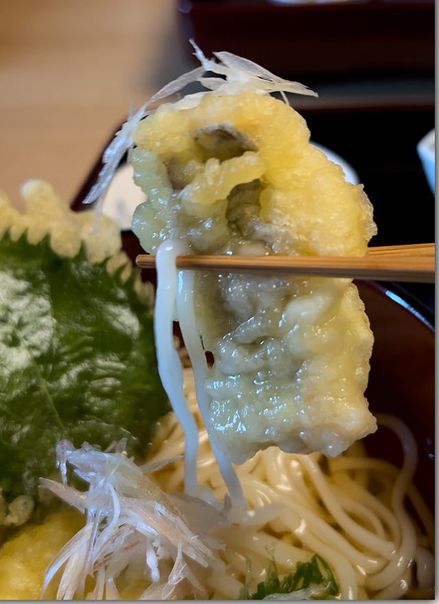 半田そうめん 折目邸 遊懐