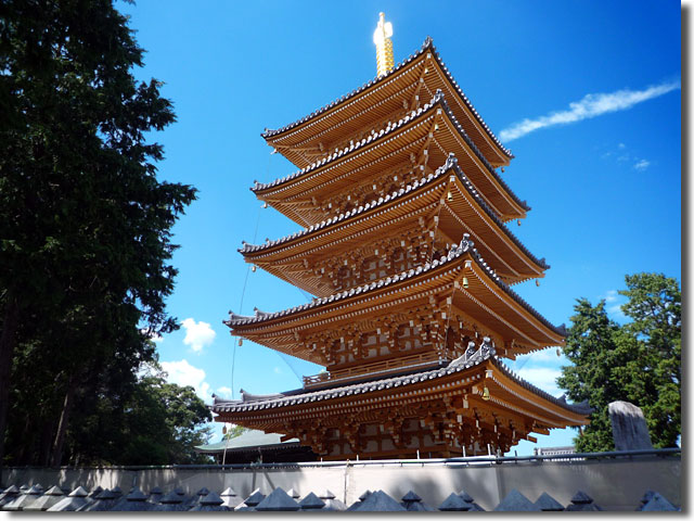 竜雲うどん法然寺