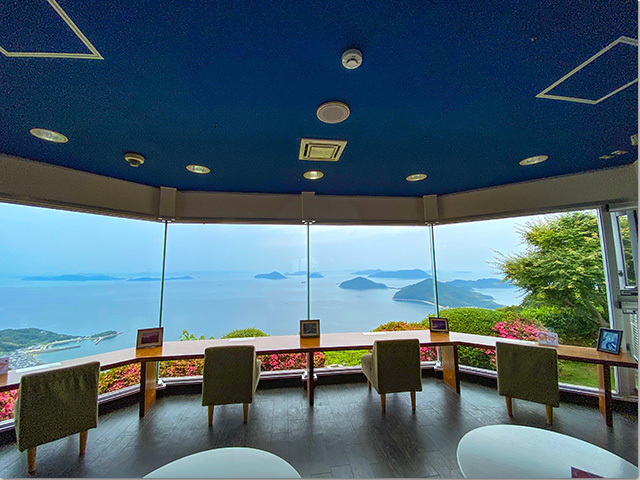紫雲出山の紫陽花