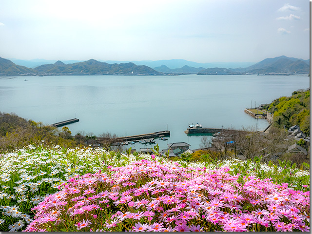 L が食べたもん 天空の花畑 志々島