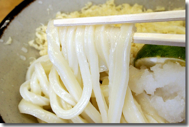 玉藻うどん