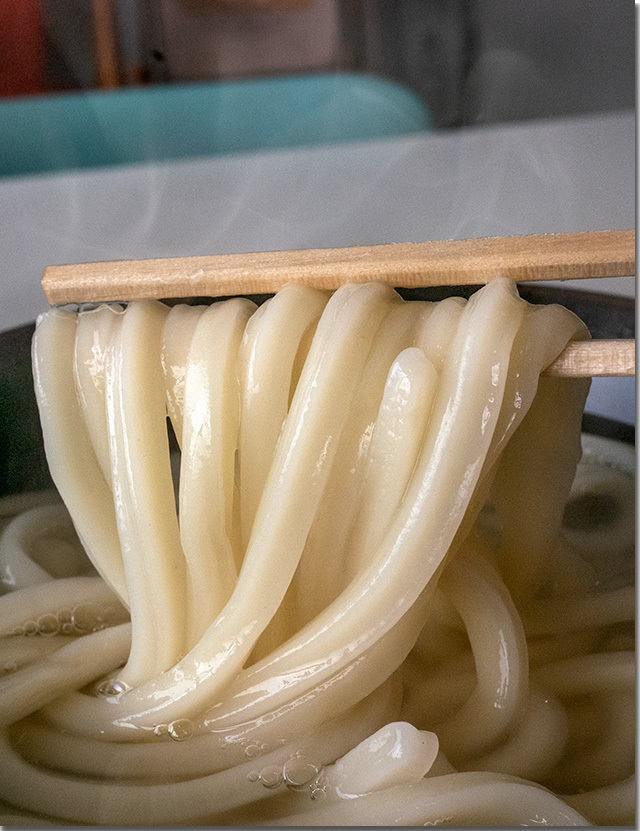 釜揚げうどん＠たんぽぽ