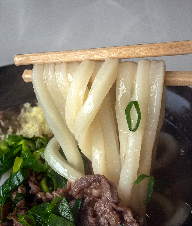釜揚げうどん＠たんぽぽ