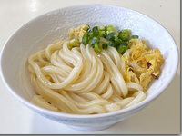 新麦うどん たんぽぽ