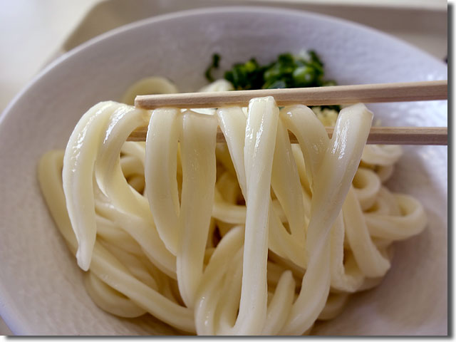 かがわ県知事賞のうどん＠たんぽぽ