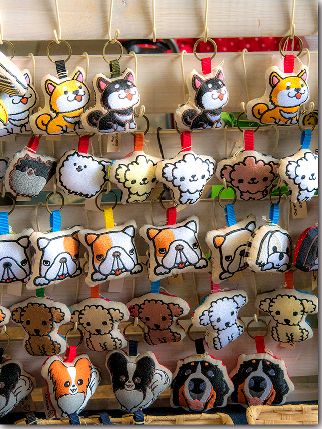 うどん脳万博2019