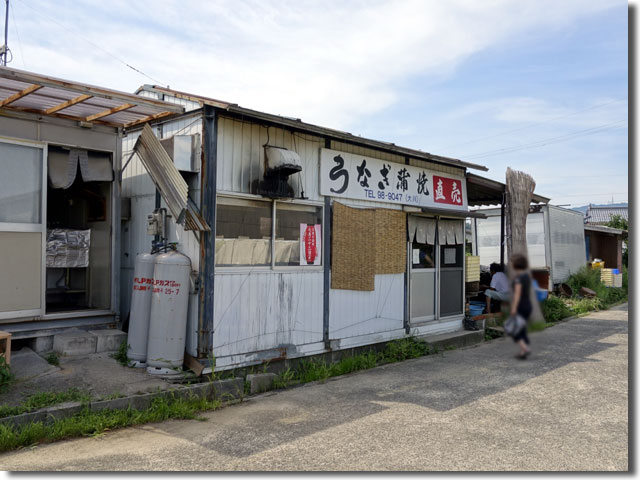 大川鰻養殖所