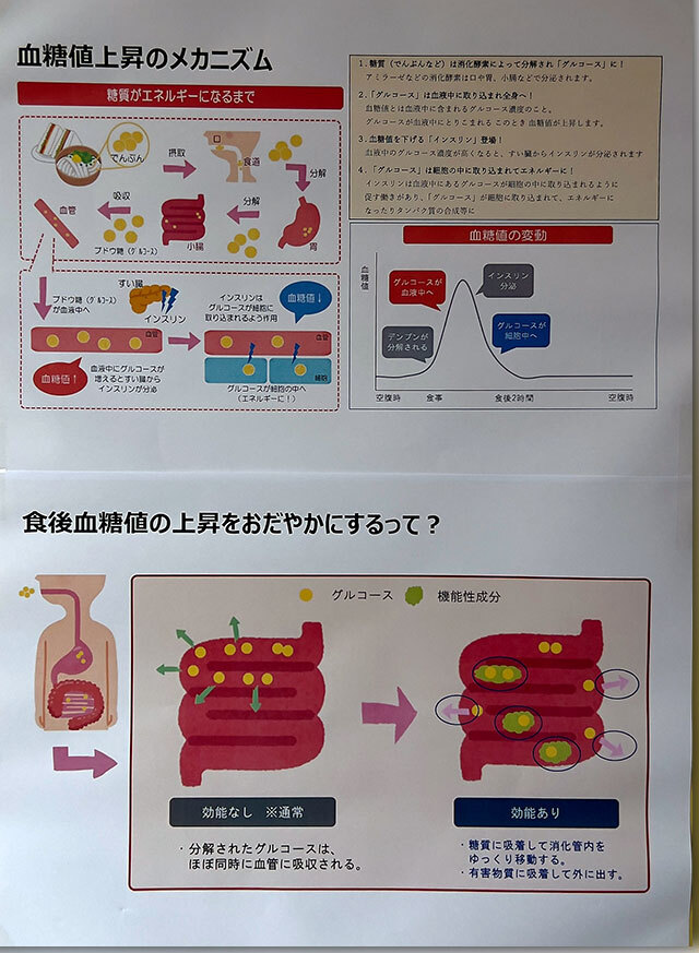 第15回 さぬきうどんタイムカプセル