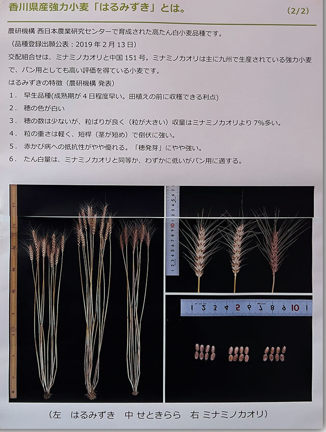 第15回 さぬきうどんタイムカプセル