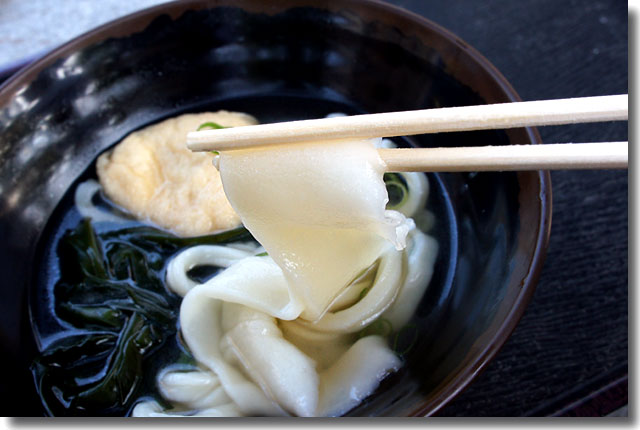 夕焼けうどん“山”