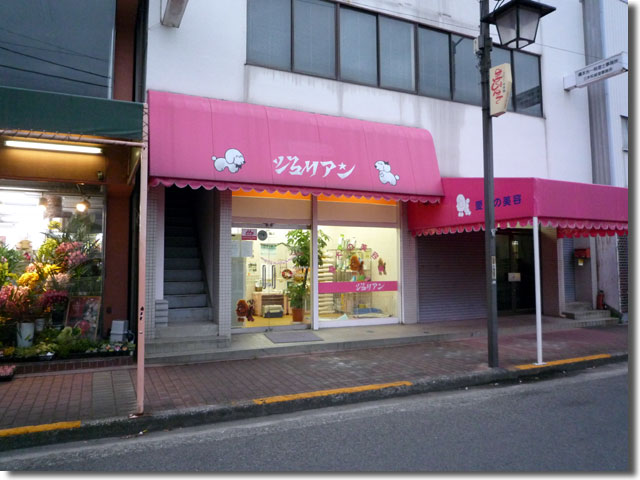 スープカレーラーメン＠とら家