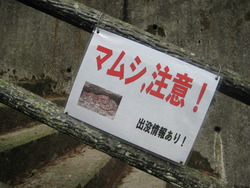 ４３８の旅**