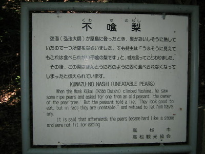屋島登山