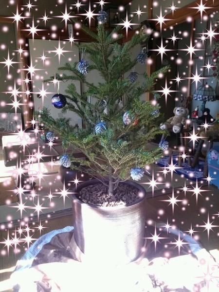 クリスマスティー