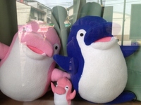ことちゃんとhacomo