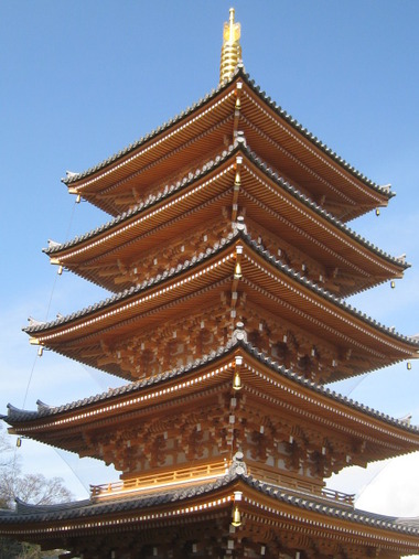 今年初めて
