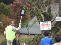 紅葉よりだんご