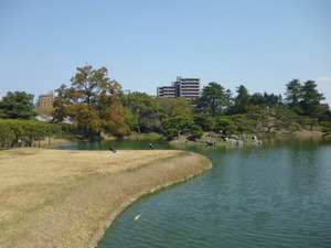 栗林公園で花見