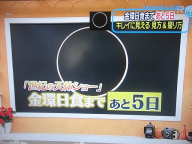 美里情報発信！