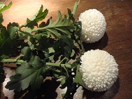 冬の寄せ植え教室
