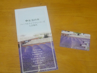 丸亀町：生活の木へ