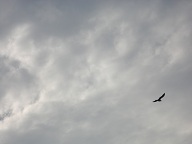 プチ観光「庵治」