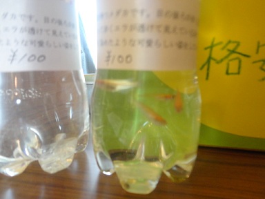 イベントへ！