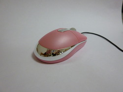 絆プロジェクト修了試験