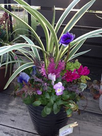 寄せ植え個展へ！