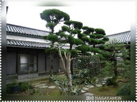 一歩でも前に、、