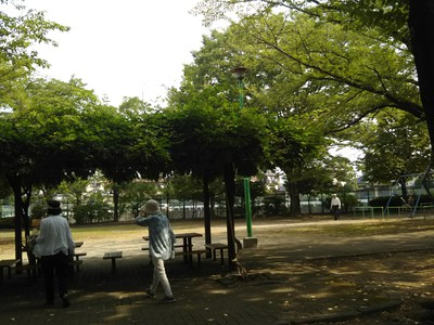 朝の奉仕活動 公園の草抜き！