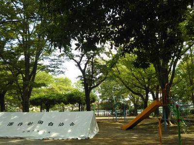 朝の奉仕活動 公園の草抜き！