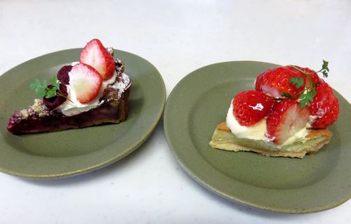 ２月とは思えない暖かさ　♪