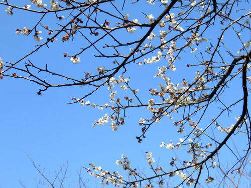 ２月とは思えない暖かさ　♪