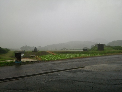 台風です。