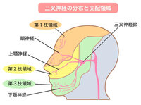 ストレッチや筋トレで、なかなか肩コリが良くならない理由…