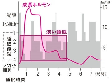 筋肉をつけると身長が伸びなくなる伝説…