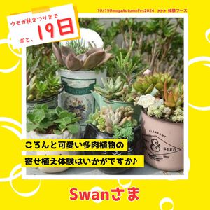 【ウモガ祭り】多肉植物・寄せ植体験ができる【Swan】さまをご紹介