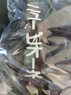 ぶどう