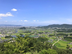 ヤリイカうどん　NO.40