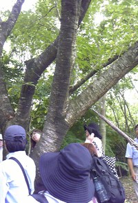 ナチュラリスト養成講座？