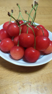 佐藤錦