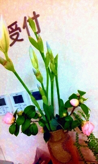 花盛り～♪