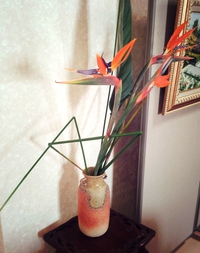 花盛り～♪
