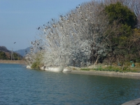 いつもの景色も所変われば・・・