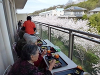 桜・・。